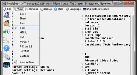 MediaInfo-Text.jpg